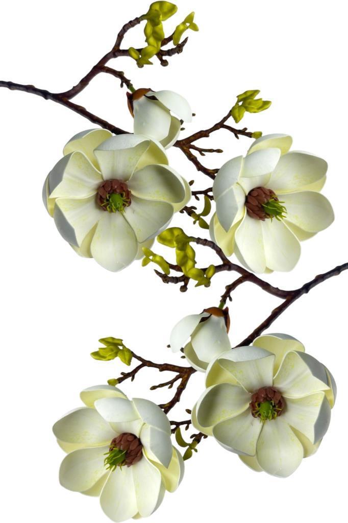 Yapay Çiçek Krem Eva Manolya 2 Çiçek 1 Tomurcuk Uzun Dal Çiçek Flowers 55cm Gerçeksi Doku