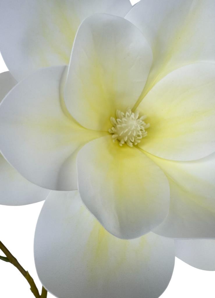 Yapay Çiçek Krem Manolya Islak Doku 3 Kafalı Uzun Dal Çiçek Flowers 80cm