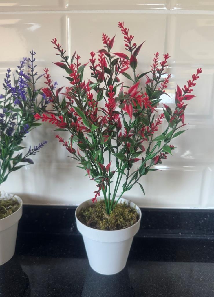 Yapay Çiçek Krem Saksıda 2 Adet Lavanta Mor Ve Kırmızı Renk 28cm