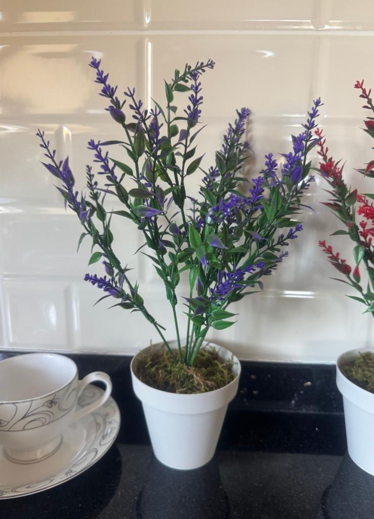 Yapay Çiçek Krem Saksıda 2 Adet Lavanta Mor Ve Kırmızı Renk 28cm