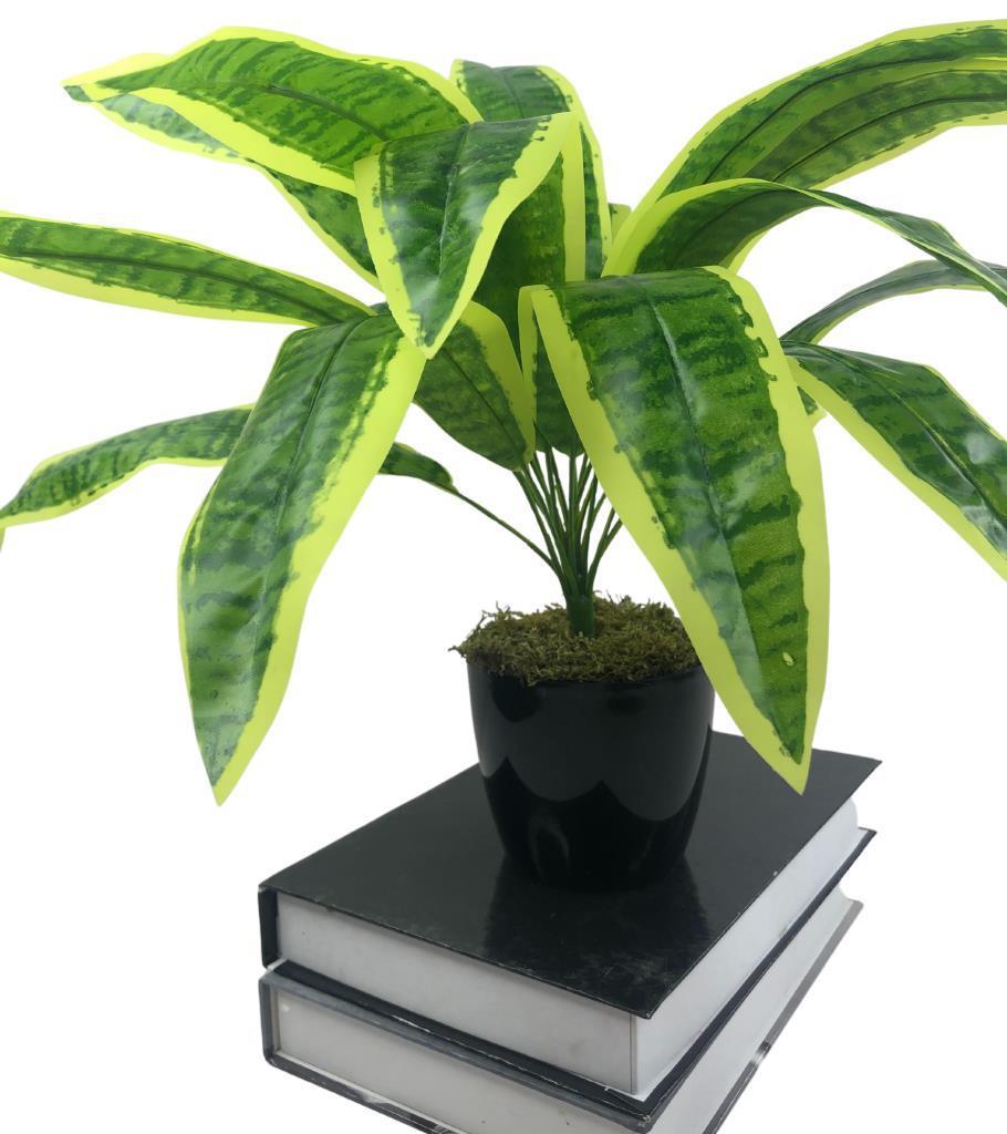 Yapay Çiçek Masengena Sansevieria 12 Dal 40*50cm Salon Çiçeği Plastik Siyah Saksılı Yapay Bitki