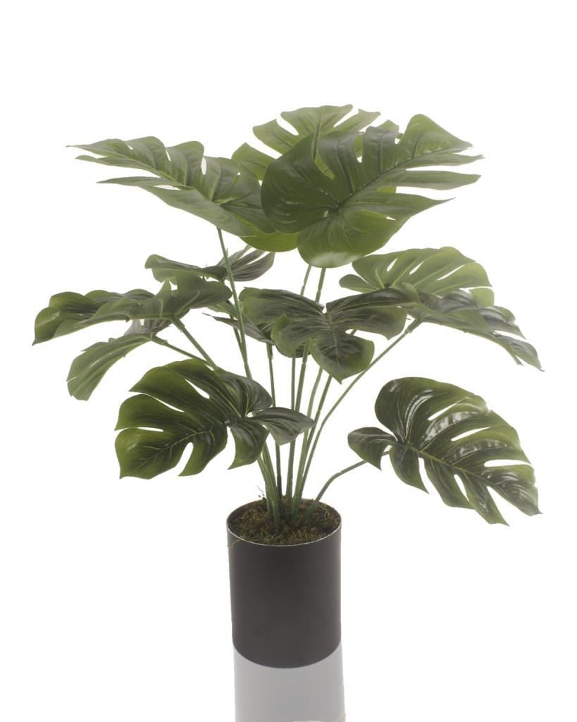 Yapay Çiçek Monstera Deve Tabanı Siyah Saksılı Salon Çiçeği 12 Yaprak