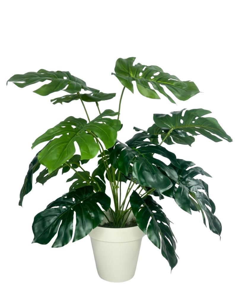 Yapay Çiçek Monstera Salon Çiçeği 50cm Beyaz Saksılı Yapay Bitki 