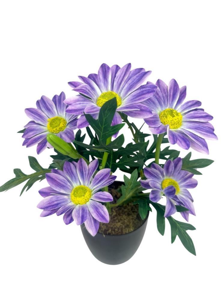 Yapay Çiçek Mor Margarit Papatya Siyah Saksıda Dekoratif Yapay Çiçek 30*25cm