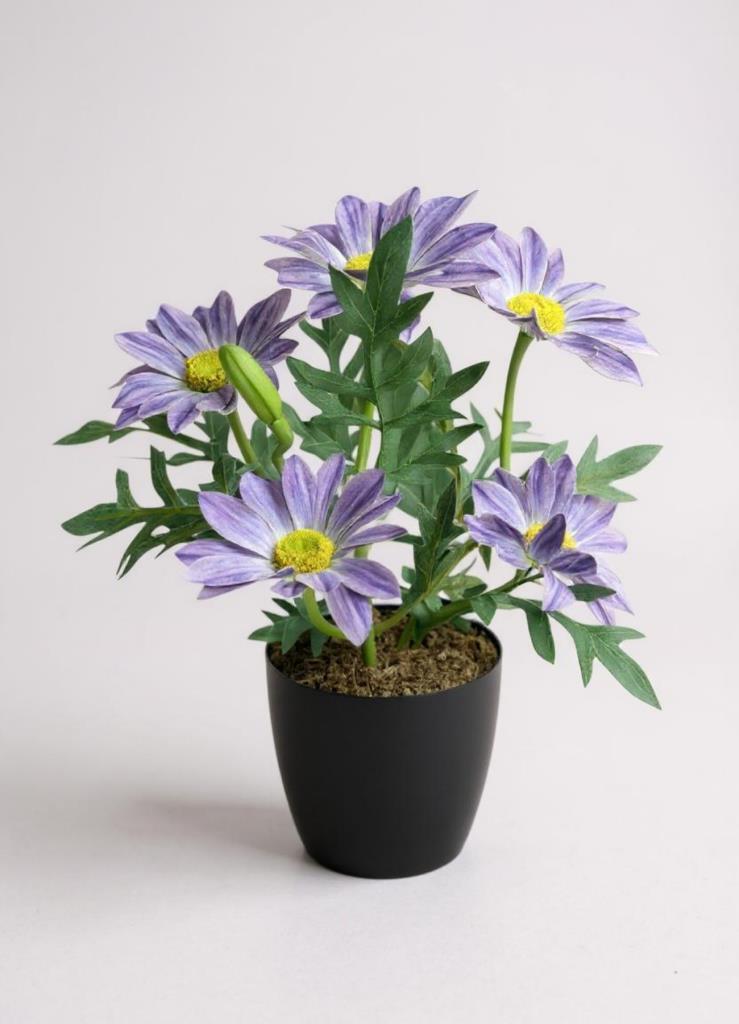Yapay Çiçek Mor Margarit Papatya Siyah Saksıda Dekoratif Yapay Çiçek 30*25cm