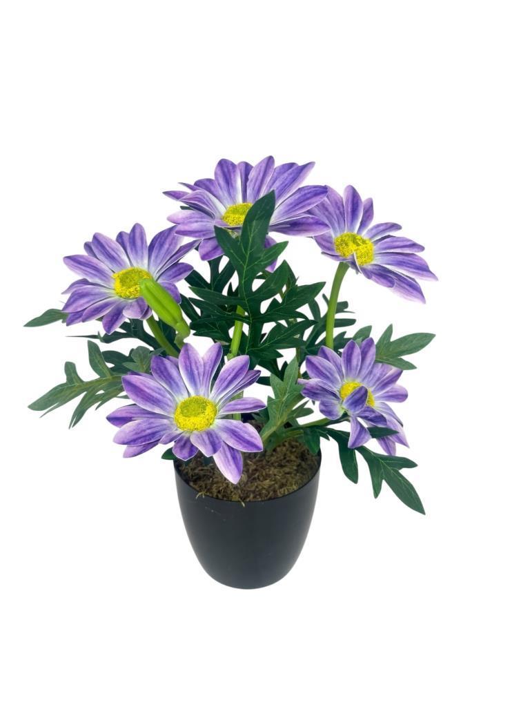 Yapay Çiçek Mor Margarit Papatya Siyah Saksıda Dekoratif Yapay Çiçek 30*25cm