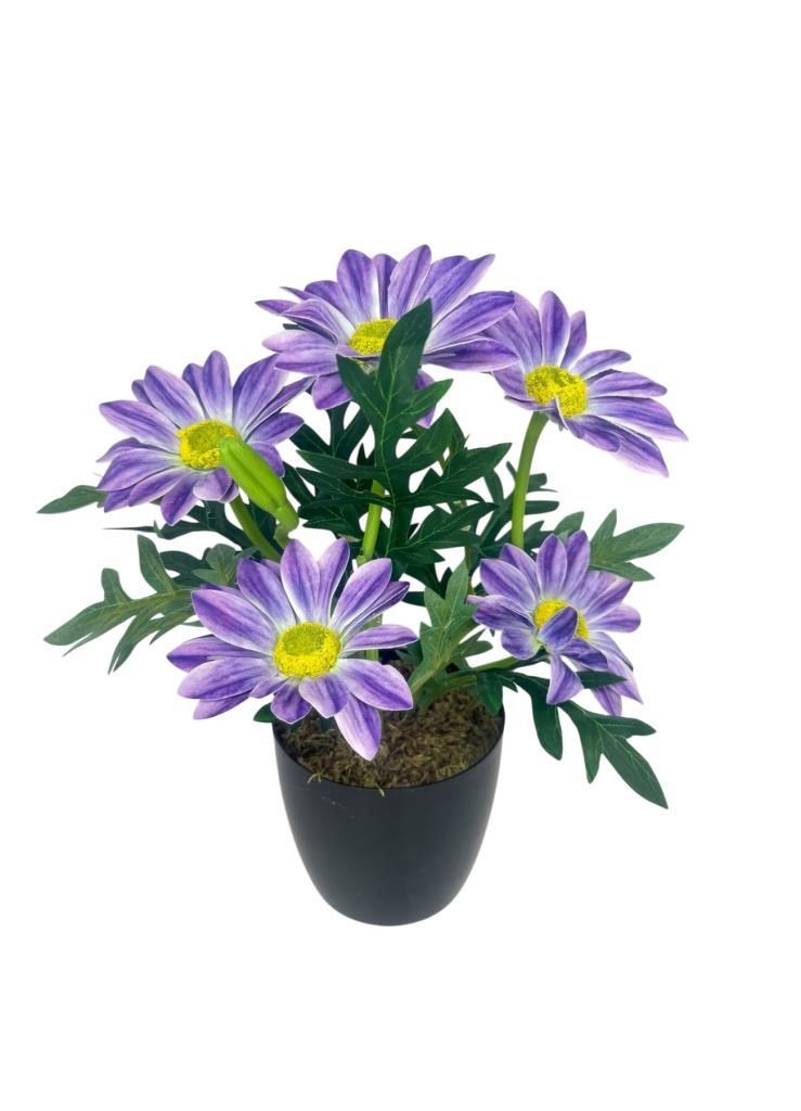Yapay Çiçek Mor Margarit Papatya Siyah Saksıda Dekoratif Yapay Çiçek 30*25cm