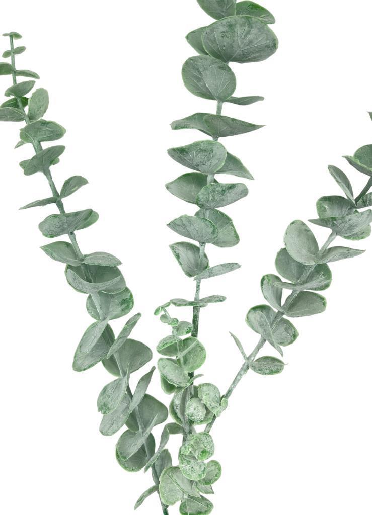 Yapay Çiçek Pastel Yeşil Okaliptus 3Dallı Uzun Dal 76cm Eucalyptus
