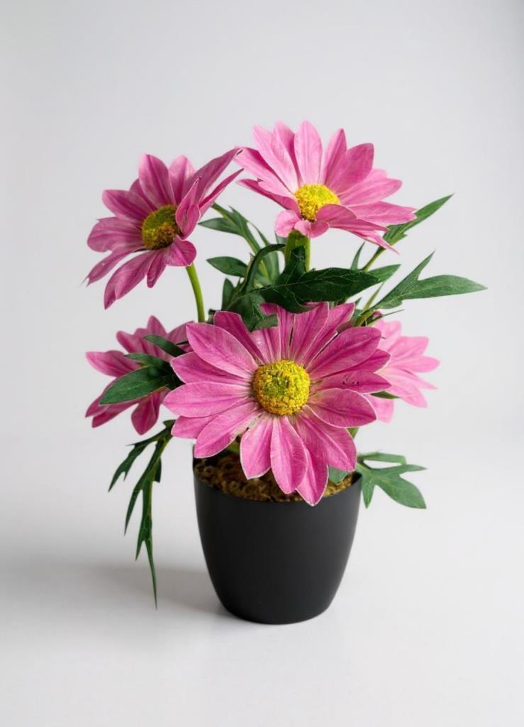 Yapay Çiçek Pembe Margarit Papatya Siyah Saksıda Dekoratif Yapay Çiçek 30*25cm