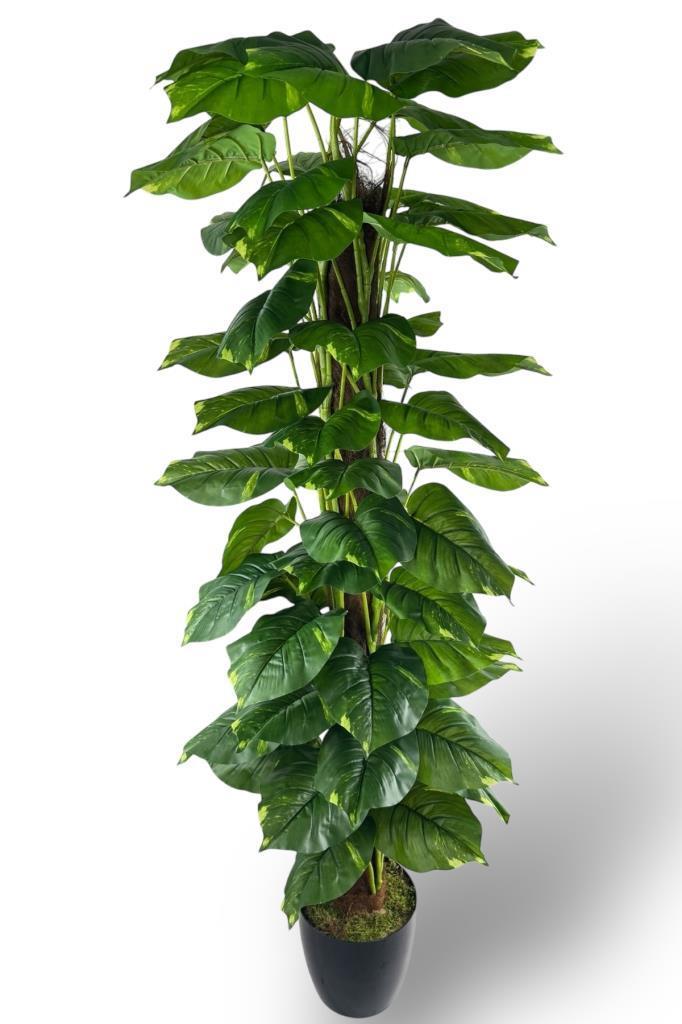 Yapay Çiçek Pothos Salon Sarmaşığı Tropik Salon Bitkisi Yapay Ağaç 165cm