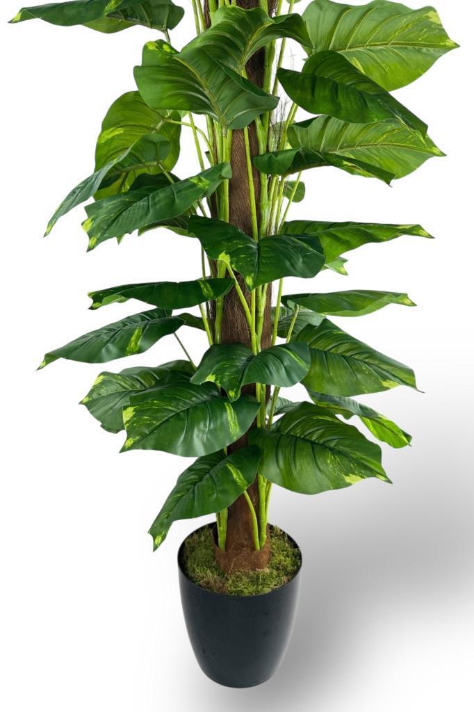 Yapay Çiçek Pothos Salon Sarmaşığı Tropik Salon Bitkisi Yapay Ağaç 165cm