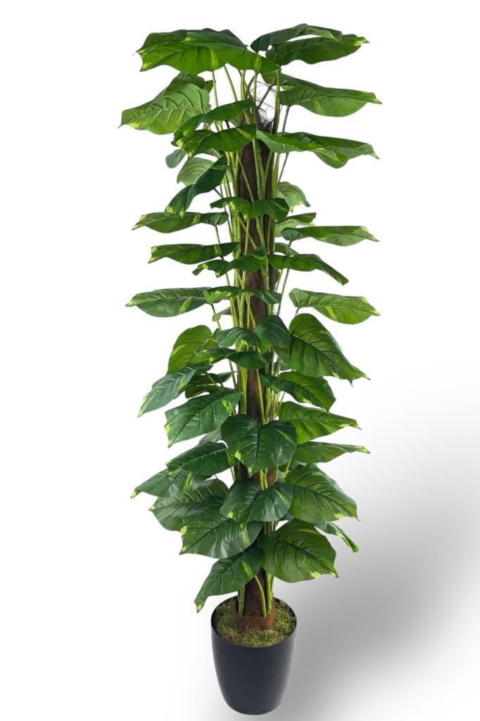 Yapay Çiçek Pothos Salon Sarmaşığı Tropik Salon Bitkisi Yapay Ağaç 165cm