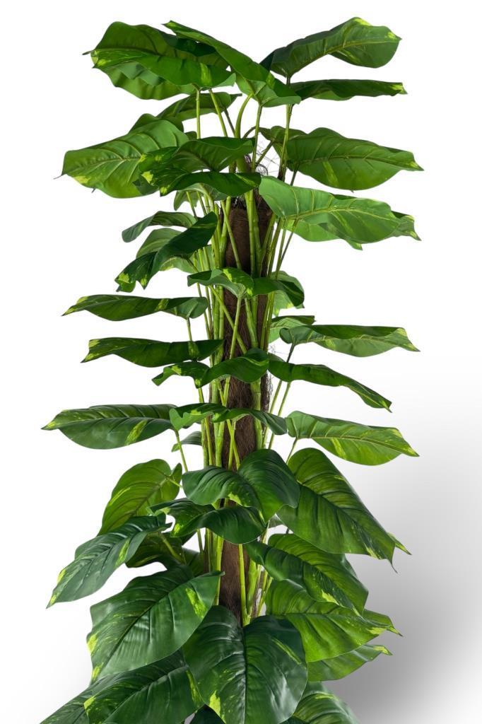Yapay Çiçek Pothos Salon Sarmaşığı Tropik Salon Bitkisi Yapay Ağaç 165cm