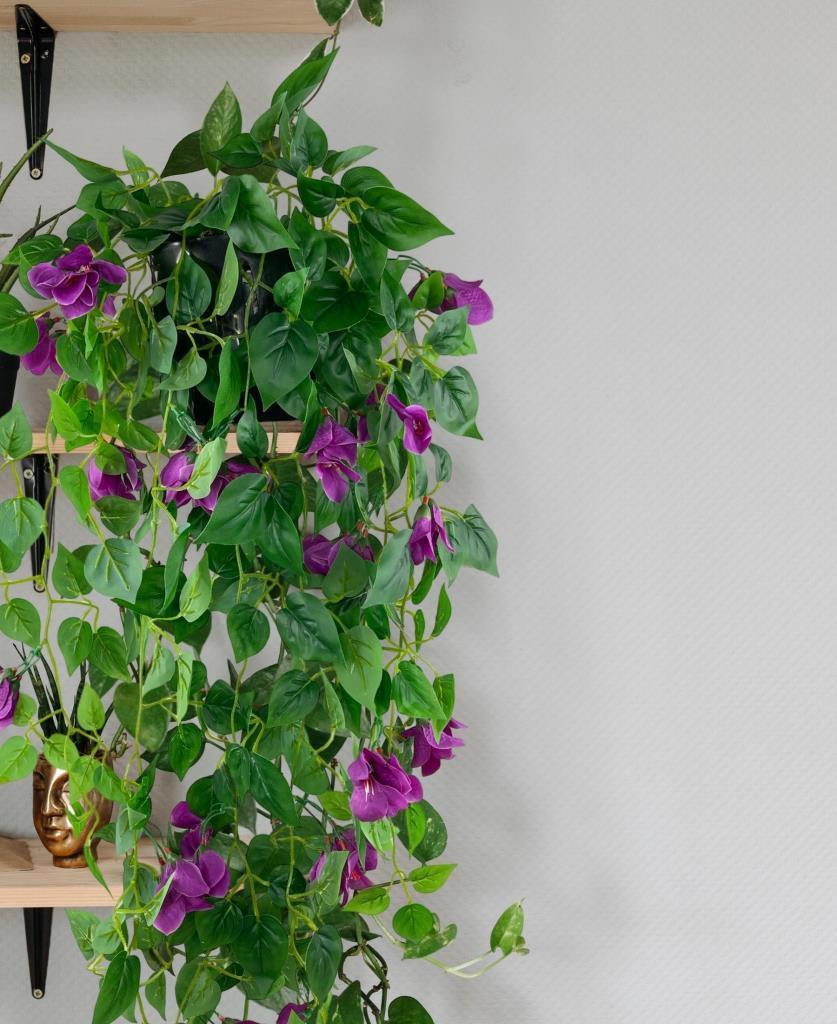 Yapay Çiçek Saksıda Mor Begonvil Çiçeği 9 Dallı 100cm Sarkan Çiçek
