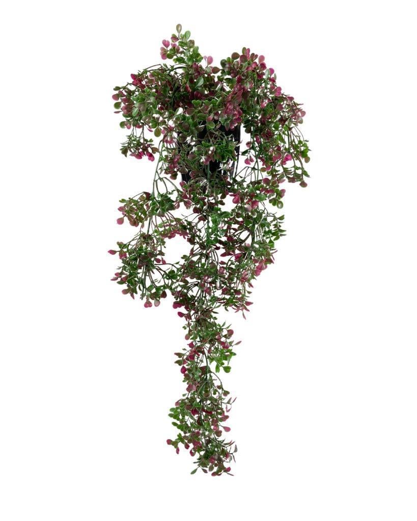 Yapay Çiçek Saksıda Sarkan Bordo Fare Kulağı Şimşir Yapay Sarmaşık Pastel 50cm