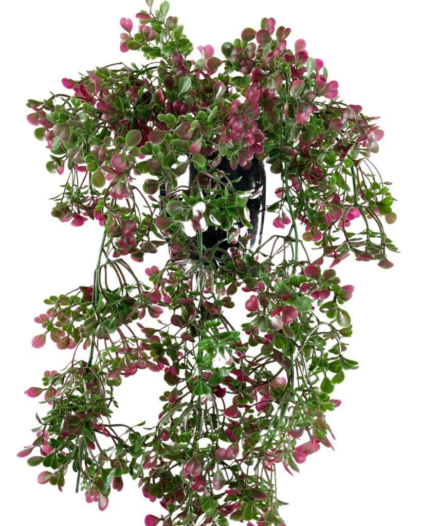 Yapay Çiçek Saksıda Sarkan Bordo Fare Kulağı Şimşir Yapay Sarmaşık Pastel 50cm