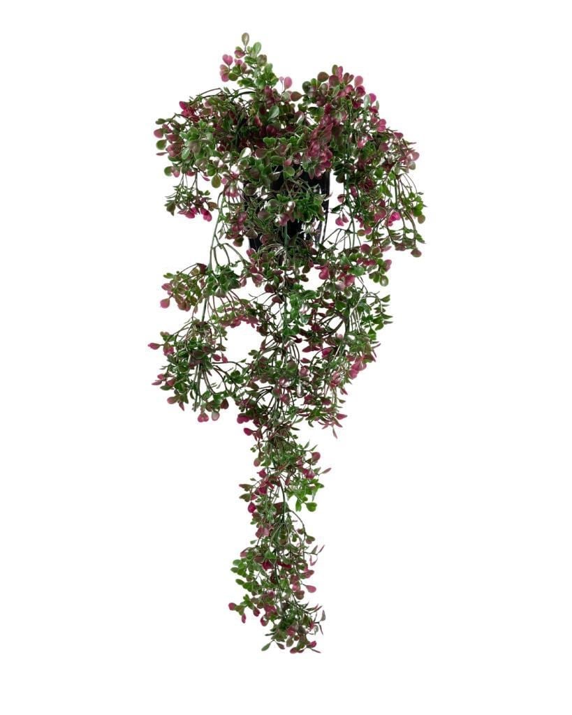 Yapay Çiçek Saksıda Sarkan Bordo Fare Kulağı Şimşir Yapay Sarmaşık Pastel 50cm