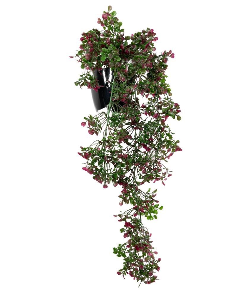 Yapay Çiçek Saksıda Sarkan Bordo Fare Kulağı Şimşir Yapay Sarmaşık Pastel 50cm
