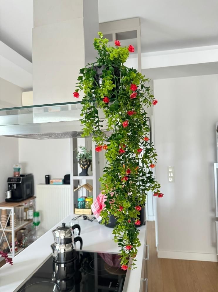 Yapay Çiçek Saksıda Sarkan Kırmızı Mineli Şimşir Okaliptus Yapay Sarmaşık 60cm