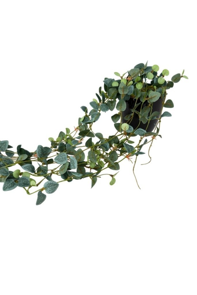 Yapay Çiçek Saksıda Sarkan Mini Lüx Okaliptus Yapay Sarmaşık 60cm