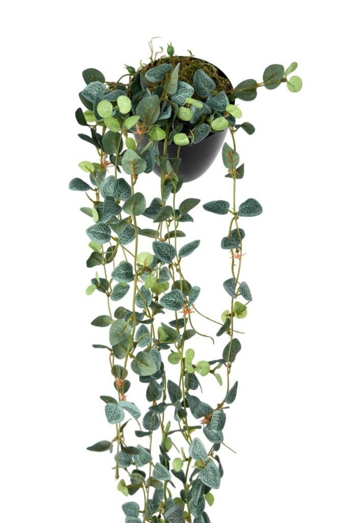 Yapay Çiçek Saksıda Sarkan Mini Lüx Okaliptus Yapay Sarmaşık 60cm