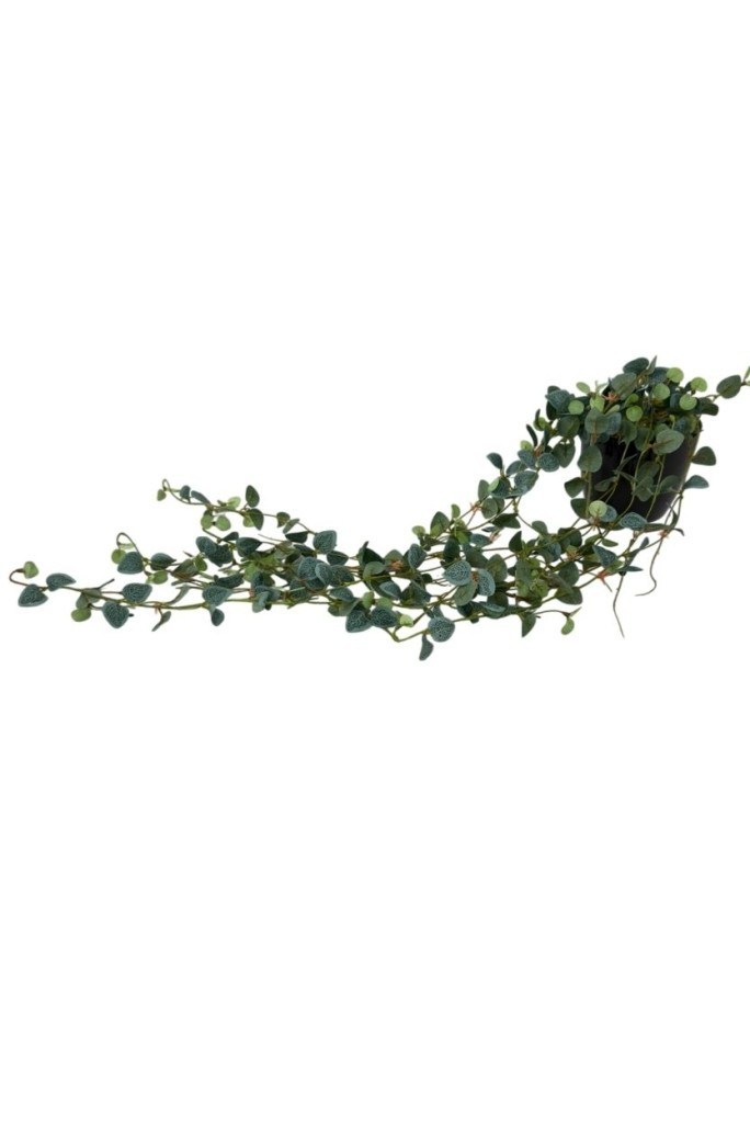 Yapay Çiçek Saksıda Sarkan Mini Lüx Okaliptus Yapay Sarmaşık 60cm