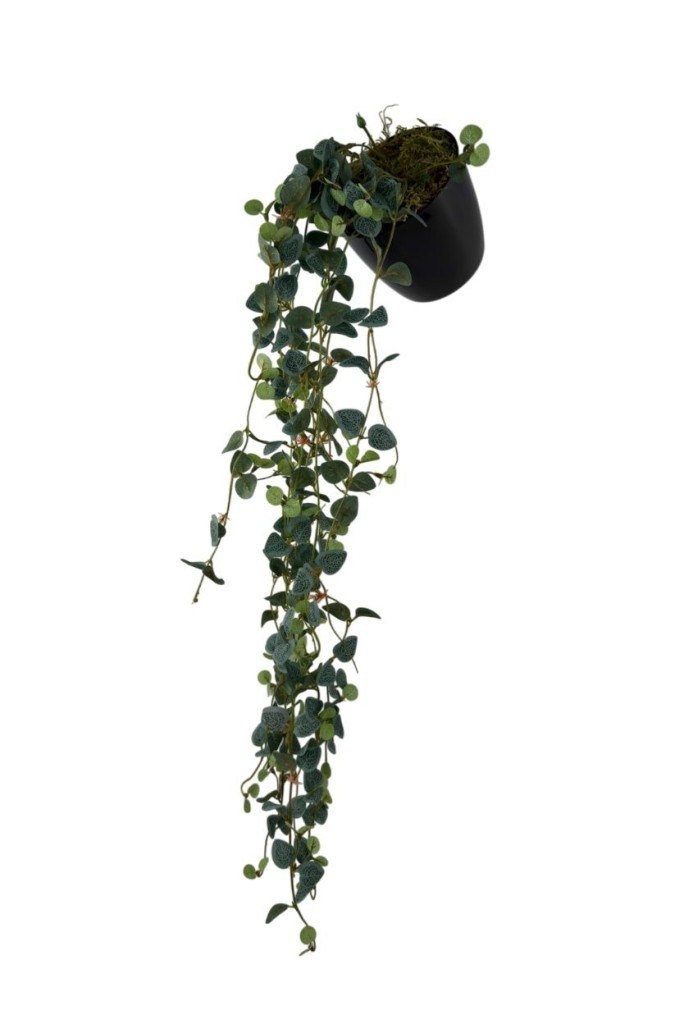 Yapay Çiçek Saksıda Sarkan Mini Lüx Okaliptus Yapay Sarmaşık 60cm