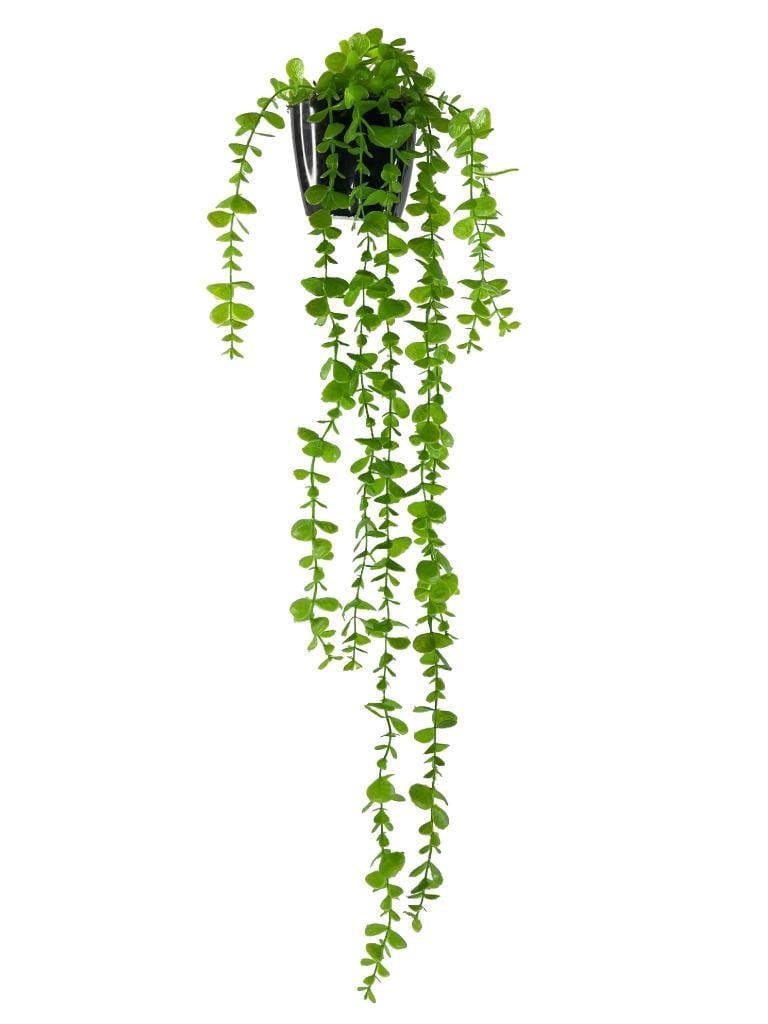 Yapay Çiçek Saksıda Sarkan Okaliptus 80cm
