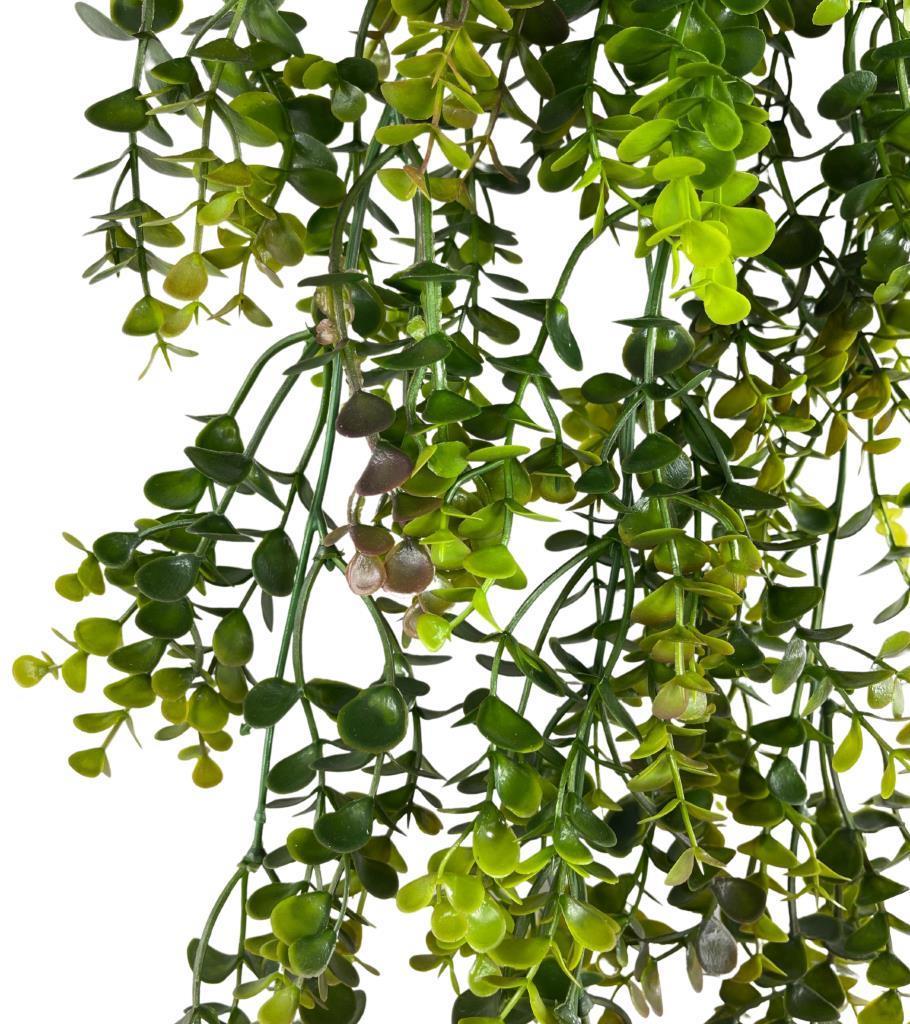 Yapay Çiçek Saksıda Sarkan Şimşir Kahverengi Yeşil Okaliptus Yapay Sarmaşık 60cm