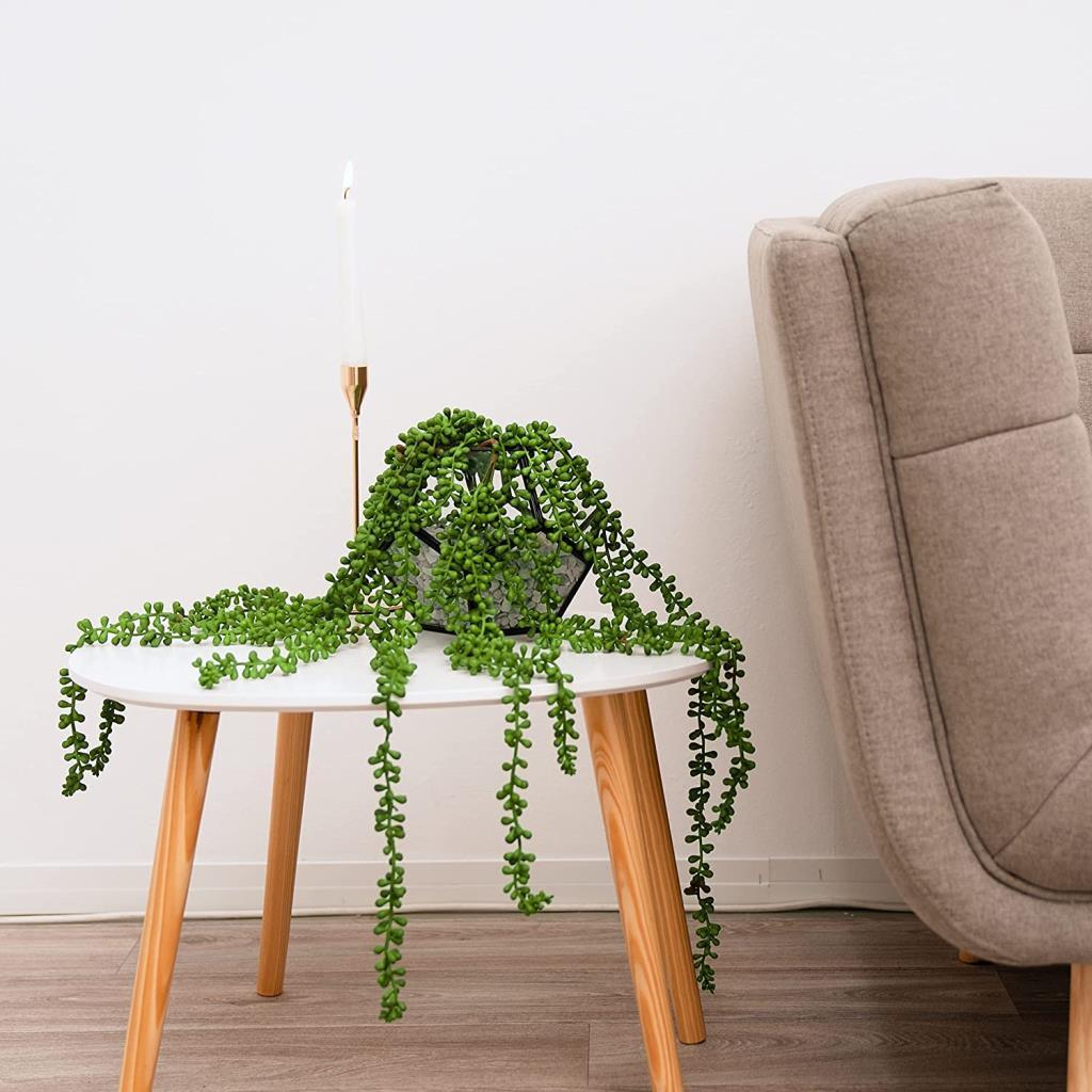 Yapay Çiçek Saksıda Sarkan String 6 Dallı 55cm Sarkan Çiçek