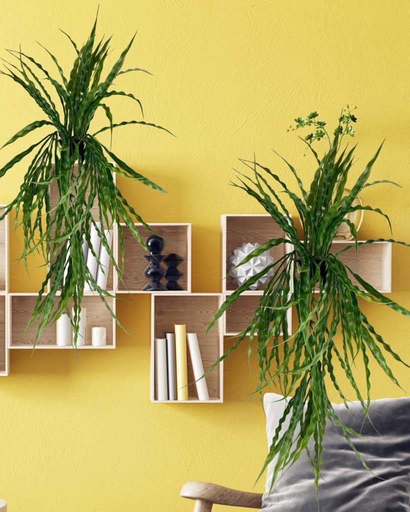 Yapay Çiçek Saksıda Sarkan Yeşil Kıvrımlı Saz 70cm
