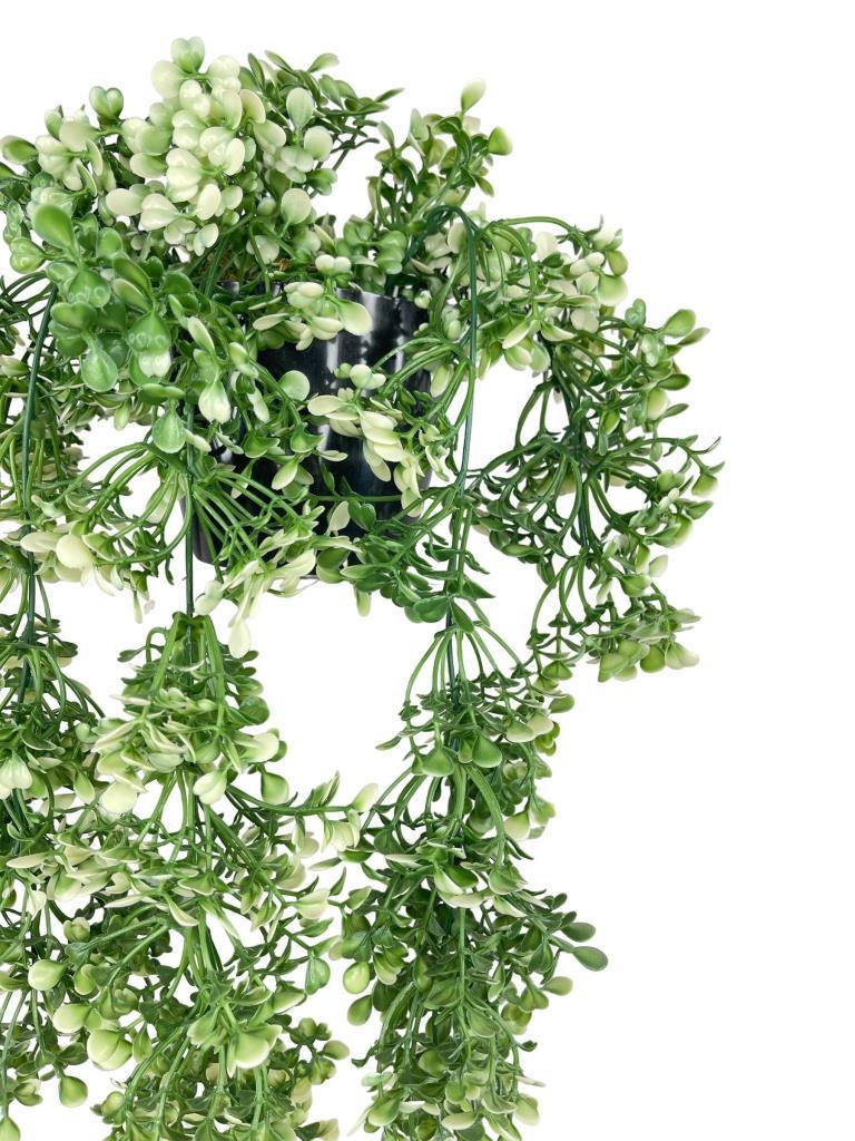 Yapay Çiçek Saksıda Sarkan Yeşilbeyaz Fare Kulağı Şimşir Yapay Sarmaşık Pastel 50cm