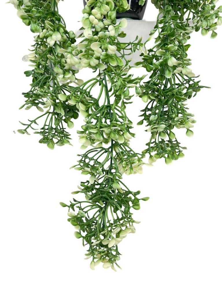 Yapay Çiçek Saksıda Sarkan Yeşilbeyaz Fare Kulağı Şimşir Yapay Sarmaşık Pastel 50cm