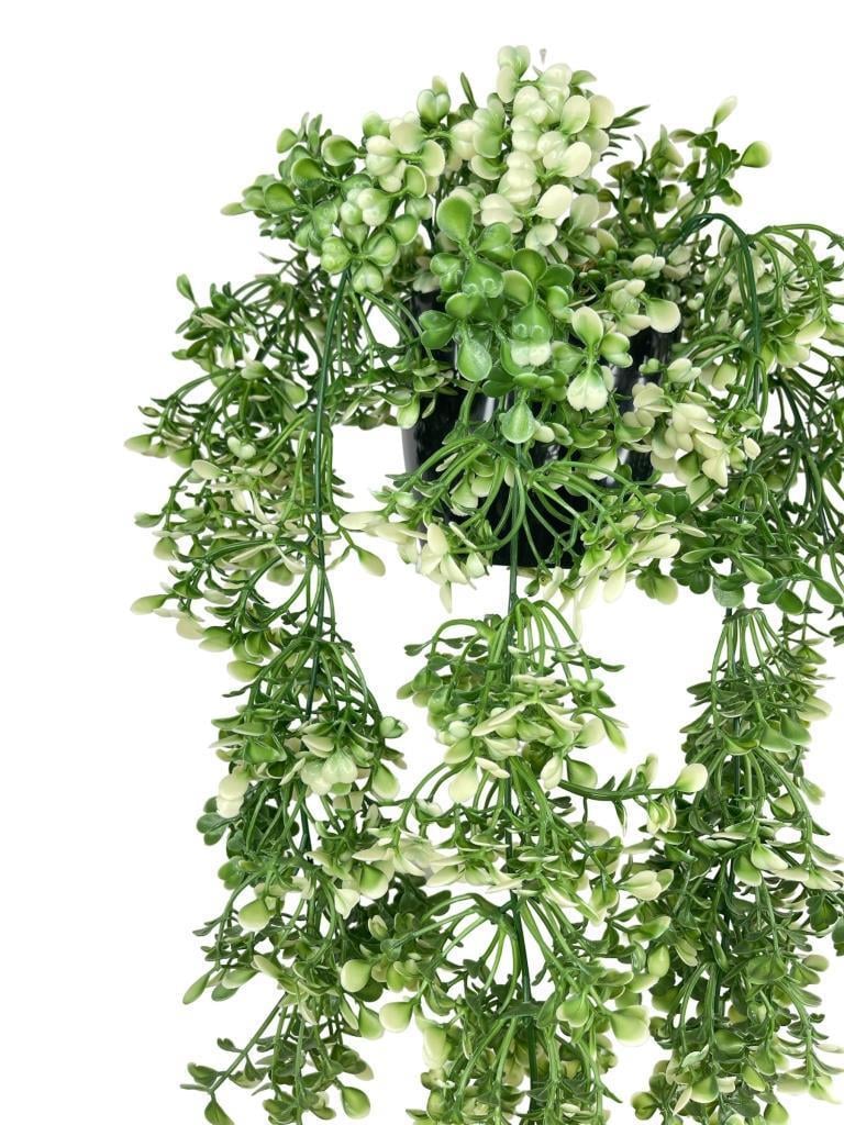 Yapay Çiçek Saksıda Sarkan Yeşilbeyaz Fare Kulağı Şimşir Yapay Sarmaşık Pastel 50cm