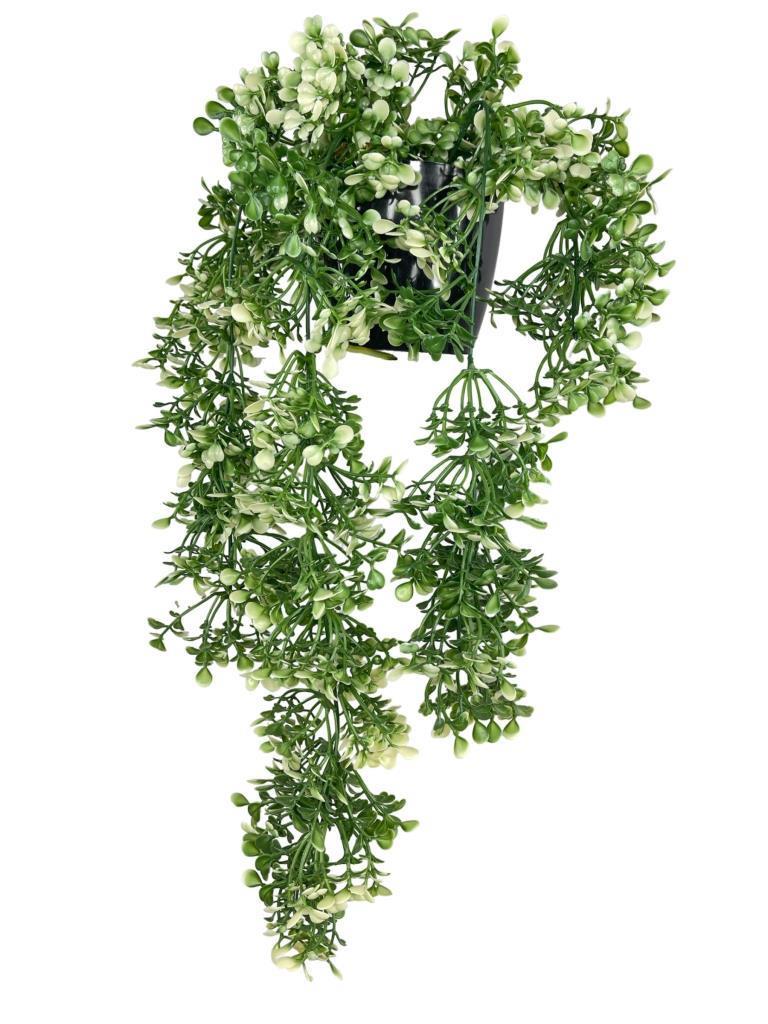 Yapay Çiçek Saksıda Sarkan Yeşilbeyaz Fare Kulağı Şimşir Yapay Sarmaşık Pastel 50cm