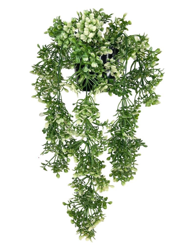 Yapay Çiçek Saksıda Sarkan Yeşilbeyaz Fare Kulağı Şimşir Yapay Sarmaşık Pastel 50cm