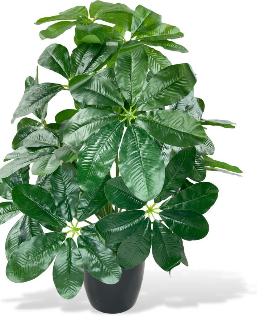 Yapay Çiçek Saksıda Şeflera Bitkisi 18Dal 75cm Salon Çiçeği Yapay Bitki Pachira Macrocarpa