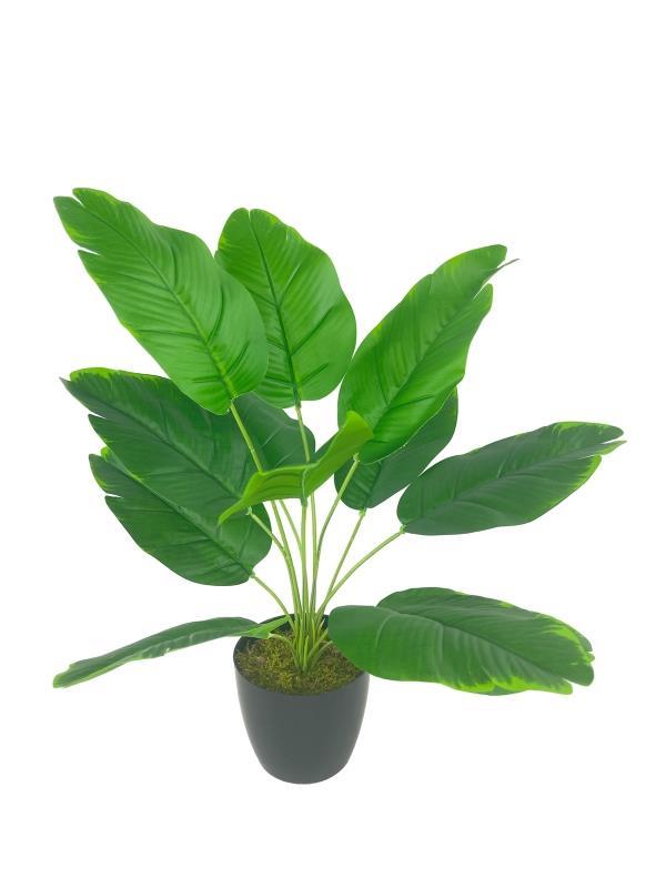 Yapay Çiçek Saksıda Yeşil Muz Yapraklı 12Dal 45cm Salon Çiçeği Yapay Bitki