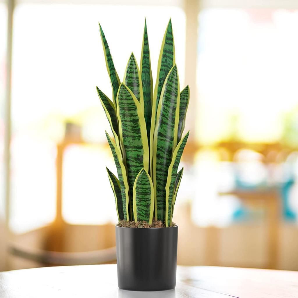 Yapay Çiçek Saksılı Yeşil Kılıç Çiçeği Dal 68cm Salon Çiçeği Metal Mat Siyah Saksılı Yapay Bitki