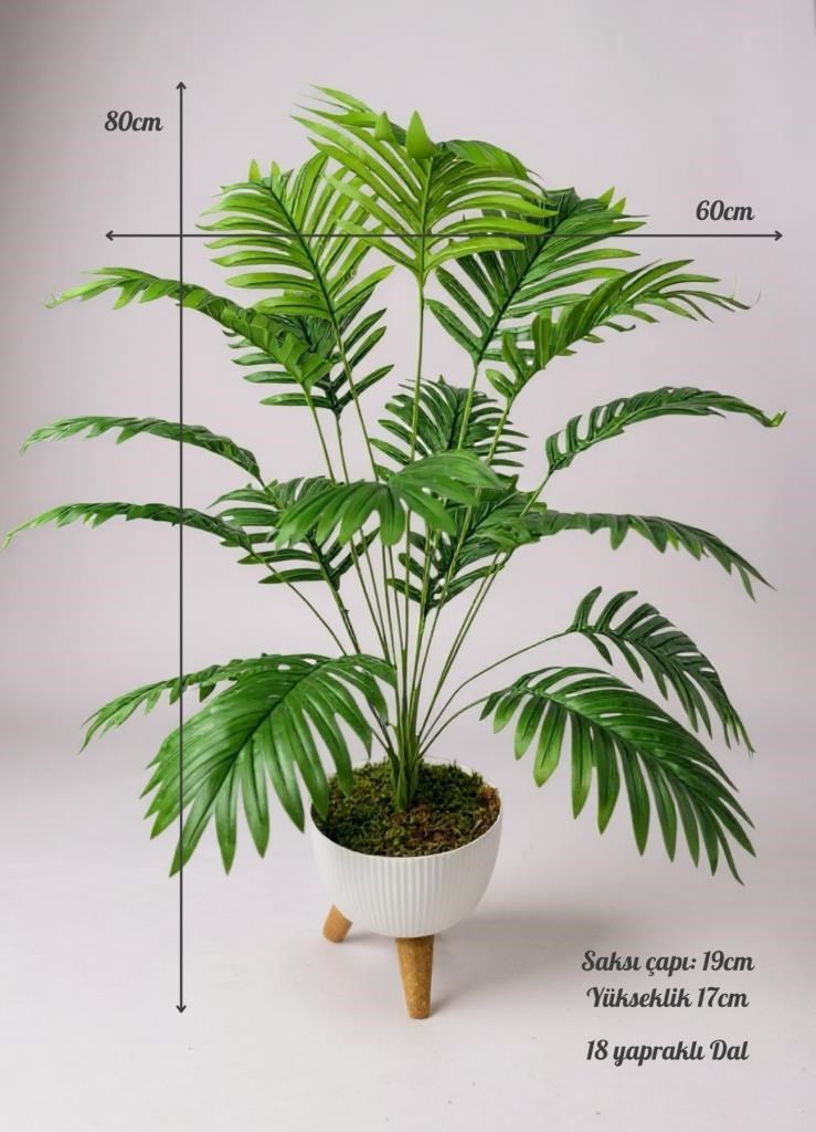 Yapay Çiçek Salon Bitkisi Areka 80cm 18 Yaprak Beyaz Zigon Saksıda