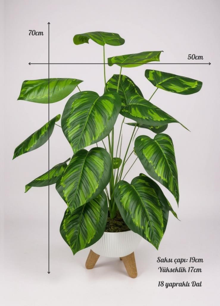 Yapay Çiçek Salon Bitkisi Difenbahya 70cm 18 Yaprak Beyaz Zigon Saksıda