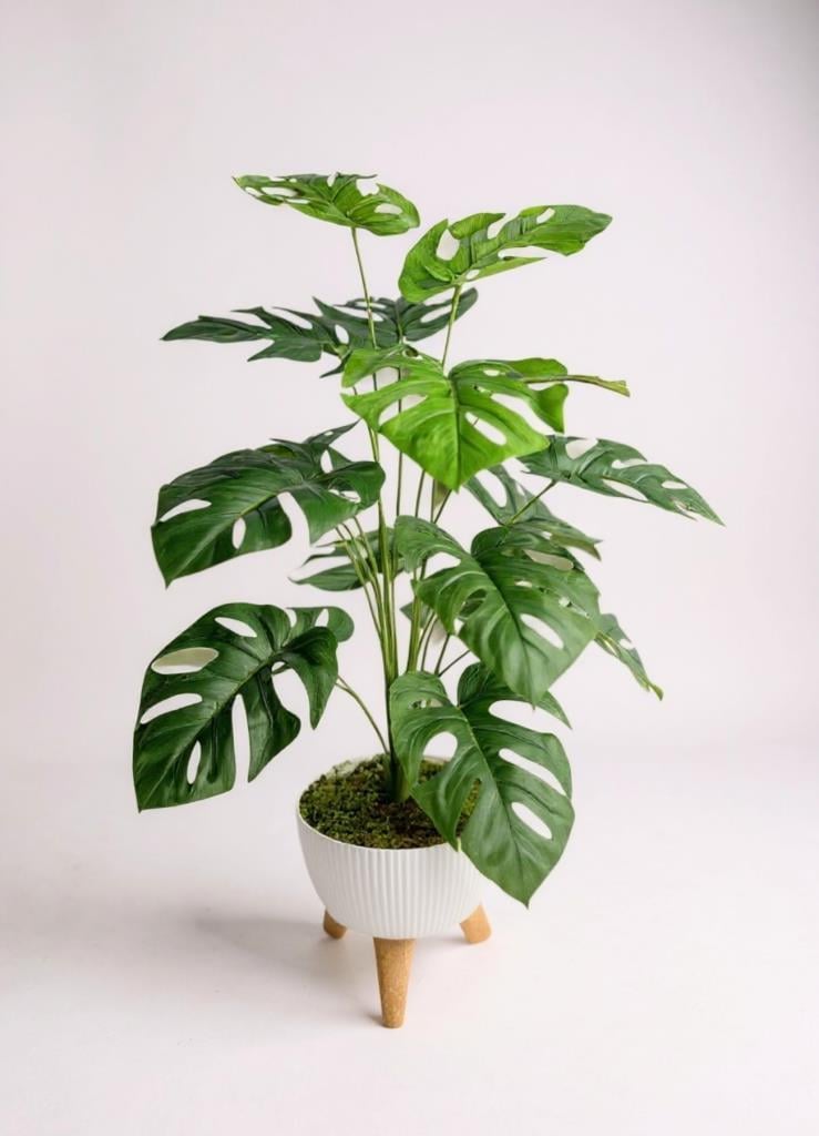 Yapay Çiçek Salon Bitkisi Monstera 70cm 18 Yaprak Beyaz Zigon Saksıda