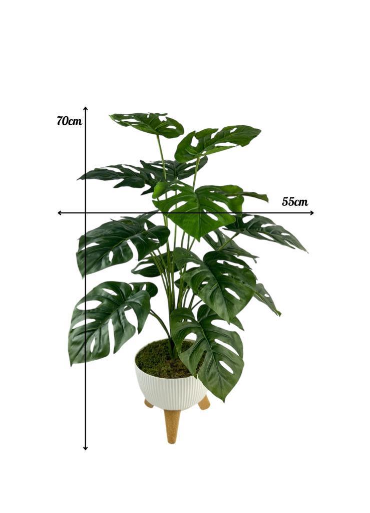 Yapay Çiçek Salon Bitkisi Monstera 70cm 18 Yaprak Beyaz Zigon Saksıda