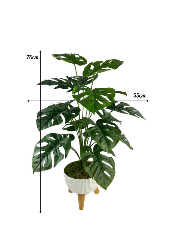 Yapay Çiçek Salon Bitkisi Monstera 70cm 18 Yaprak Beyaz Zigon Saksıda