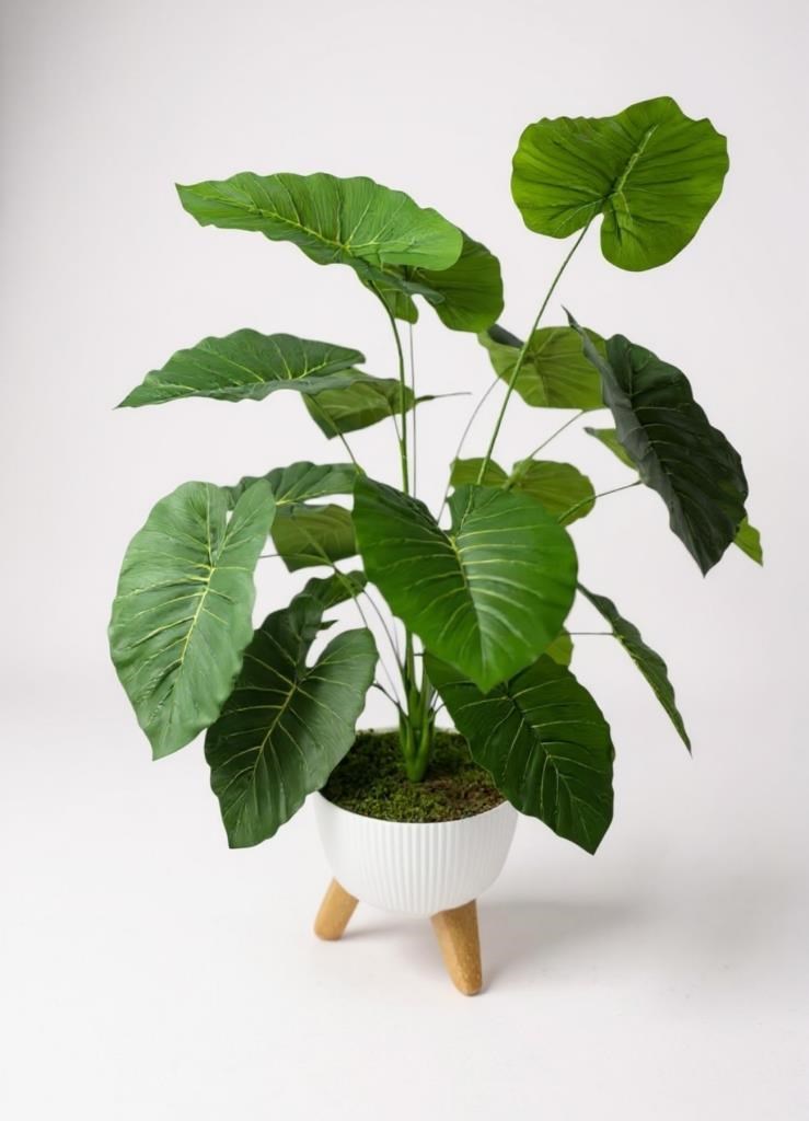 Yapay Çiçek Salon Bitkisi Pothos 70cm 18 Yaprak Beyaz Zigon Saksıda