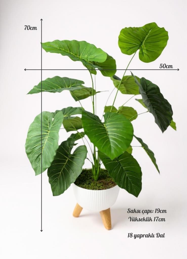 Yapay Çiçek Salon Bitkisi Pothos 70cm 18 Yaprak Beyaz Zigon Saksıda