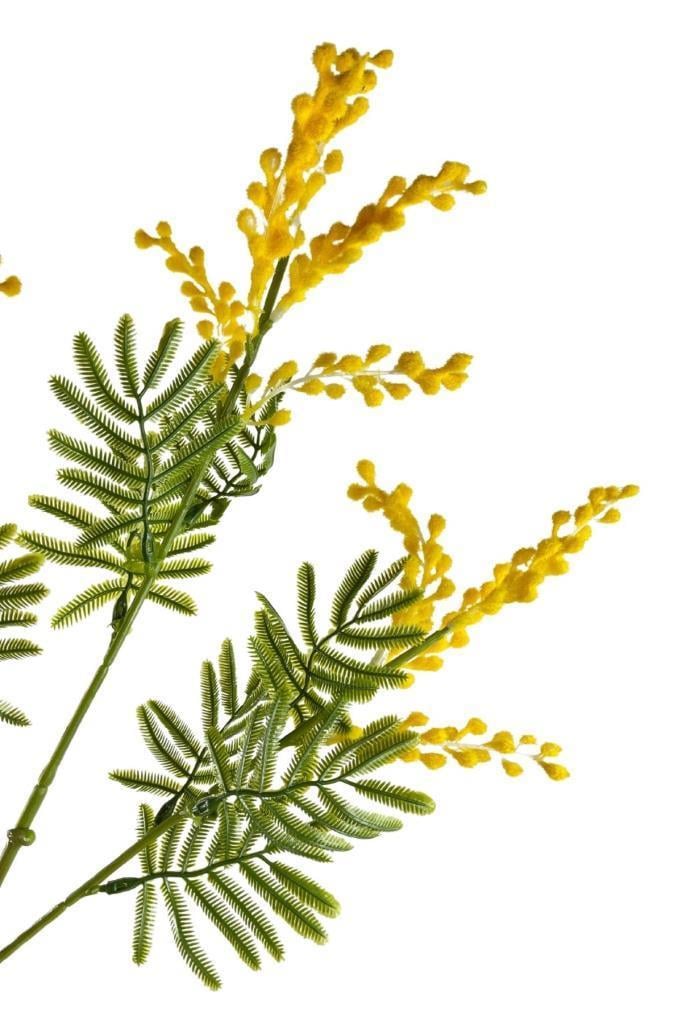 Yapay Çiçek Sarı Mimoza Uzun Dal 75cm 3Dallı Minosa Yapay Bitki 