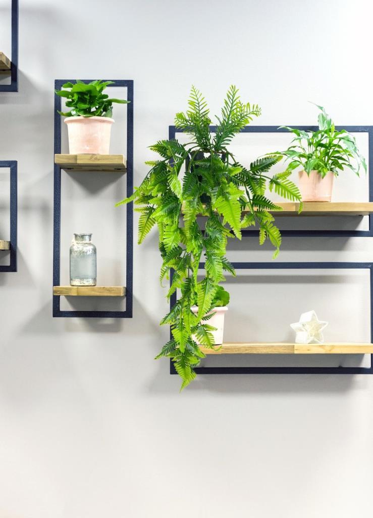 Yapay Çiçek Sarkan Boston Fern Yapraklı Bitki Küçük Siyah Saksıda Yapay Sarmaşık 55cm