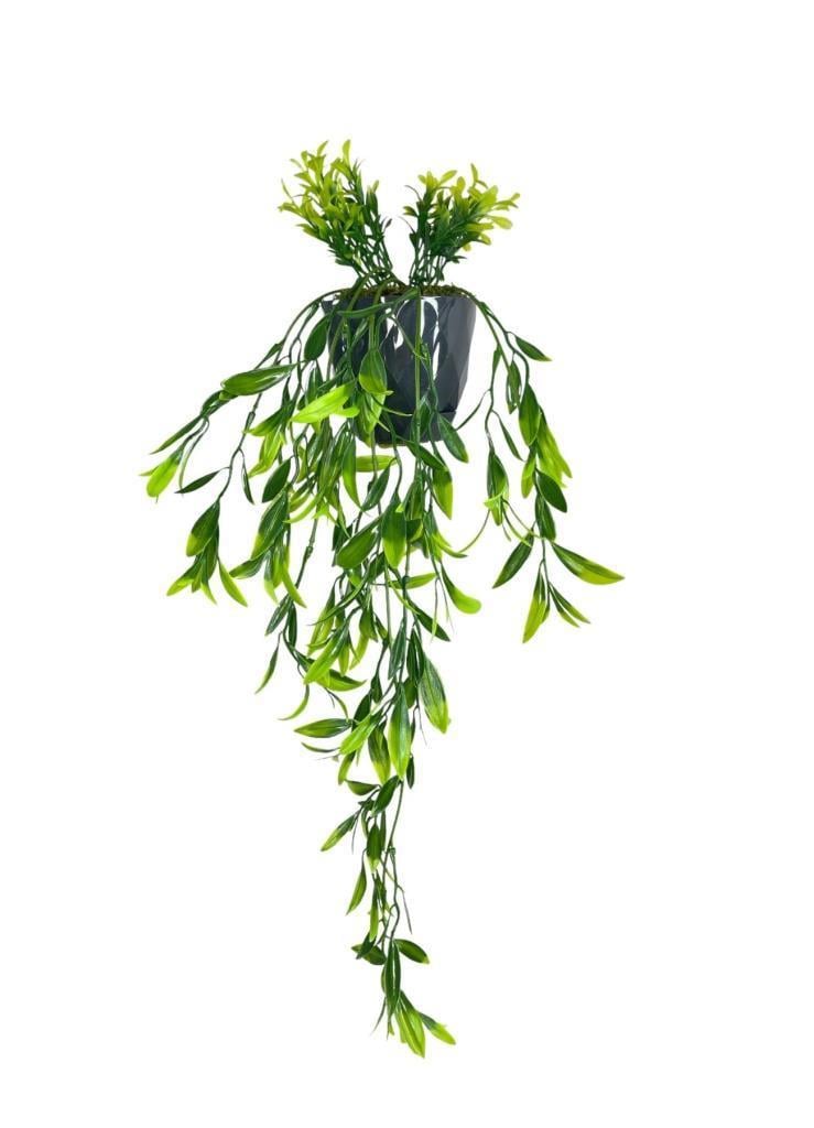 Yapay Çiçek Sarkan Fesleğen Yapraklı Bitki Küçük Siyah Saksıda Yapay Sarmaşık 55cm