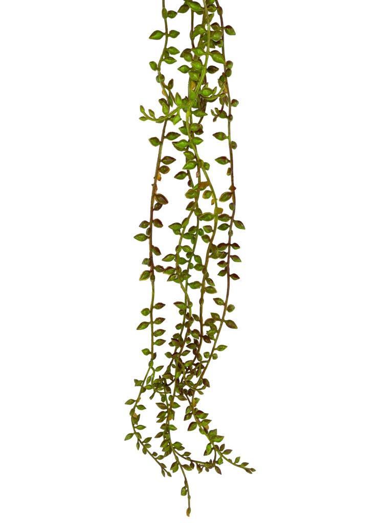 Yapay Çiçek Sarkan Kahverengi Detaylı String Okaliptus Skulent 70cm 5Dal